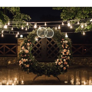 Неоновый светильник Обручальные кольца 290х190 acr-n000005