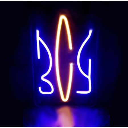 Неоновый светильник ЗСУ 175х250 acr-n000069