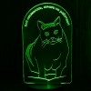 Акриловый светильник-ночник Кот Бендер зеленый tty-n001557